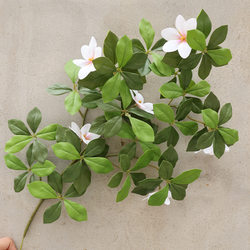 Island Gardenia Leaves, Simulated Green Plants, Green Leaves, Engineering Large Trees, Dead Trees, Decorative Green Leaves, Fake Branches, Soft Decoration, Fake Flower Branches and Leaves
