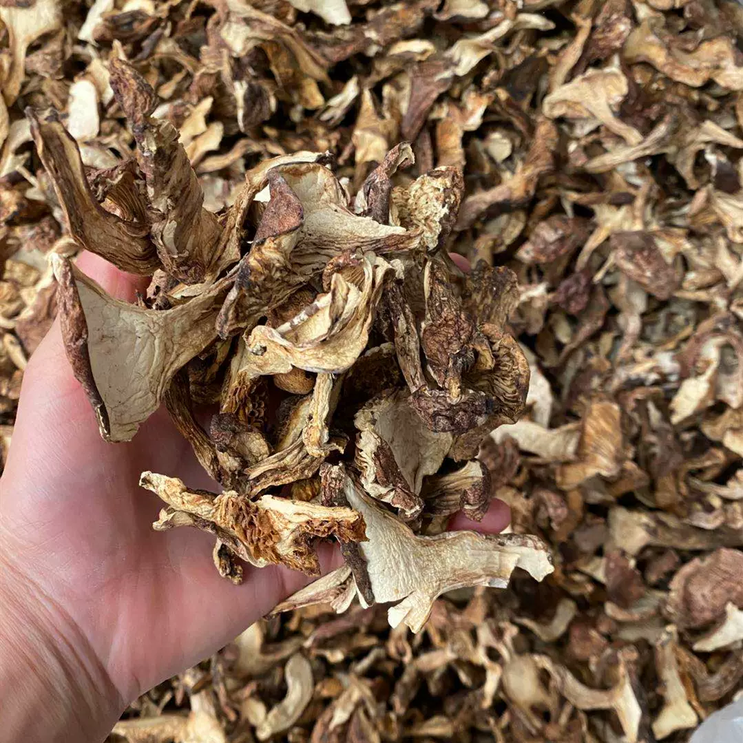 云南特产藏区野生青杠菌青冈菌青岗菌鸡丝菌干片素食菇500g青杆菌