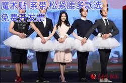 Four Little Swans Ballet Dress Annual Performance Costume for Men and Women Adult Swan Lake Dance Tulle Dress Cross-Dressing Costume