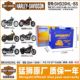 Harley 883 1200 X48/V72 Tough Guy 750 Harley Softail Commander Dyna Street Fighter Luwei Gliding Battery