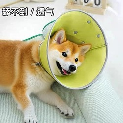 Can't lick the collar, breathable and waterproof, can sleep and eat
