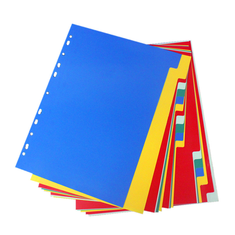Intercalaires Plastique DURABLE - Format A4, 20 Positions, Avec Onglets Colorés Et Pages Numérotées