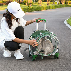 Cat Carrier, Portable Pet Trolley Box, Suitcase, Small Dog Stroller, Anti-Stress Cat Carrier, Space Capsule