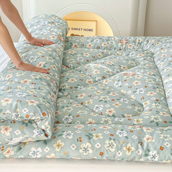 Mattress for Spring, Autumn, and Winter, Bed Mattress, Mattress Topper, Soft Pad for Home Bedroom, Thickened Warm Pad for Winter