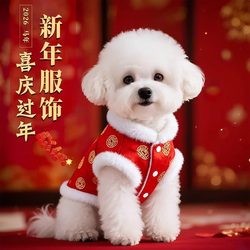 2025 New Cute Pet Clothes for Small Dogs, Cats, Teddy, Winter Bichon, New Year Cotton Jacket, Pomeranian Winter Clothing