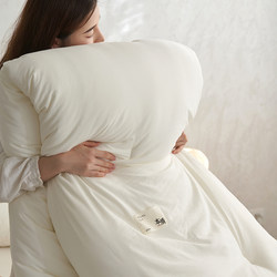 Cotton Quilt Core, Suitable for All Seasons, Thickened down Silk Quilt, Dormitory Student A-Class Winter Quilt, Single and Double Spring and Autumn Quilt