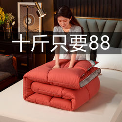 Hotel down Quilt Winter Quilt Single Student Dormitory Spring and Autumn Quilt Core Feather Velvet Quilt Thickened and Warm