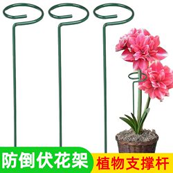 Plant Support Pole, Wrought Iron Hydrangea and Spider Plant Gardening Support Frame, Climbing Vine Flower Stand, Amaryllis Flower Stand