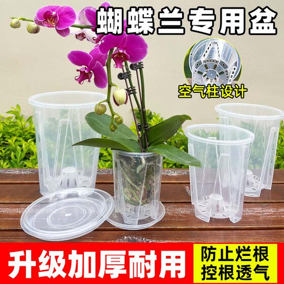 Phalaenopsis special transparent root control pot orchid flowers Dendrobium septic moss large household plastic breathable hollow flower pot
