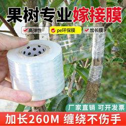 Fruit Tree Grafting Film Wrapping and Packaging Pe Film Takeout Box Sealing Film Self-Adhesive Garden Fruit Tree Grafting Tape