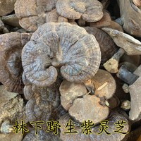 Wild Ganoderma Lucidum 500g - Meizhou Deep Mountain Forest Dry Goods Soup, Wild Purple Lucidum