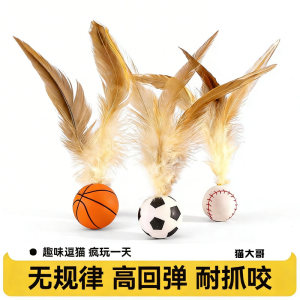 Cat toy elastic ball self -relieving stuffy artifact teasing cat stick new sports ball band feather cat consumes physical products
