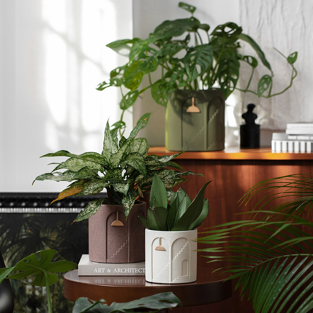 Cement flower pot simple creative personality green planting potted green spoofo and succulent medieval style creative flower pots 侘 水 水 水 水
