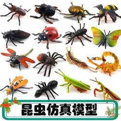 Simulated Insect Toy Large Model Set, Environmentally Friendly, Safe and Affordable, Kindergarten Qimeng Toys, Birthday Gift