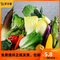 Hot-Selling Artificial Vegetable Model Fake Lettuce Leaf Props Children's Cognitive Toys Fruit and Vegetable Ornaments Cabinet Decoration