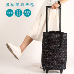 Shopping Cart for Groceries, Household Shopping Bag, Hand-Pulled Cart, Foldable Lightweight Trolley, Small Push Cart, Elderly Pull Cart for Shopping