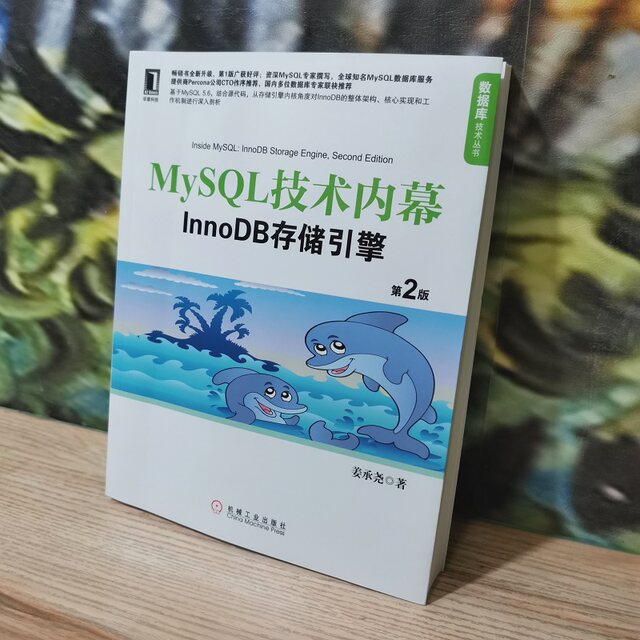 Dangdang MySQL technology insider: InnoDB storage engine (2nd edition ...