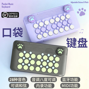 
Pocket music keyboard electronic piano portable MIDI arranger synthesizer beginner children adult birthday gift