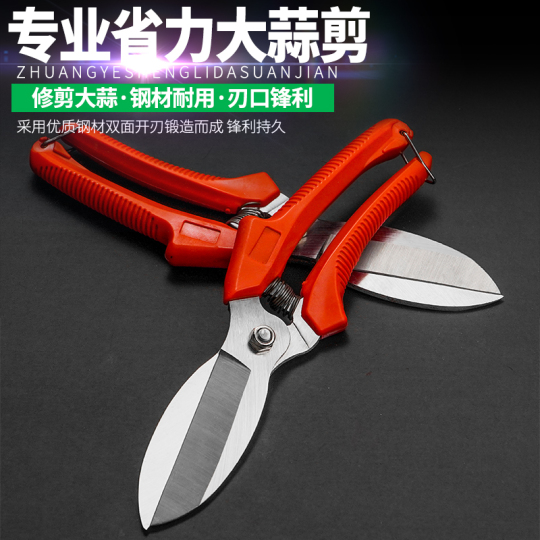 Yon fotosuratda jinsiy aloqada bolgan xotin