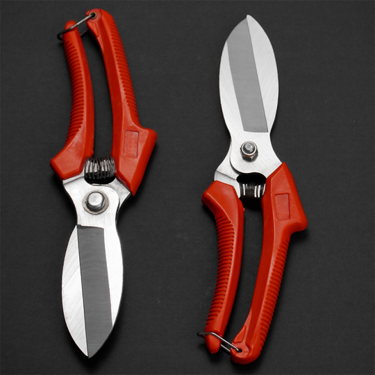 It uslubidagi yalangoch qizlar (shaxsiy fotosurat)