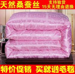 Authentic Silk Quilt 100% Mulberry Silk Cotton Quilt Summer Cooling Quilt Spring Autumn Winter Quilt Thickened Warm Single/Double Quilt Core