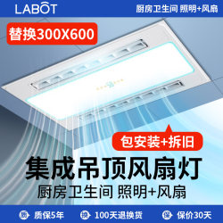 Integrated Ceiling Led Fan Light, Kitchen-Specific Lighting Ceiling Light, Bathroom 300X600 Aluminum Panel Light