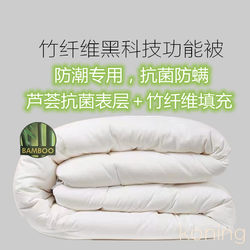 Bamboo Fiber Moisture-Proof Double Winter Quilt, Warm and Antibacterial Single Spring and Autumn Quilt, Feather Velvet Summer Quilt, Air-Conditioning Quilt Core for Dormitory