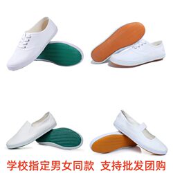White Shoes for Boys and Girls, Primary and Secondary School Students, Children's Performance Canvas White Shoes, Sports Meeting Performance, Martial Arts, Gymnastics, Dance Shoes
