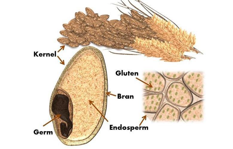 饼干怎么选？了解三个方法是关键(图5)
