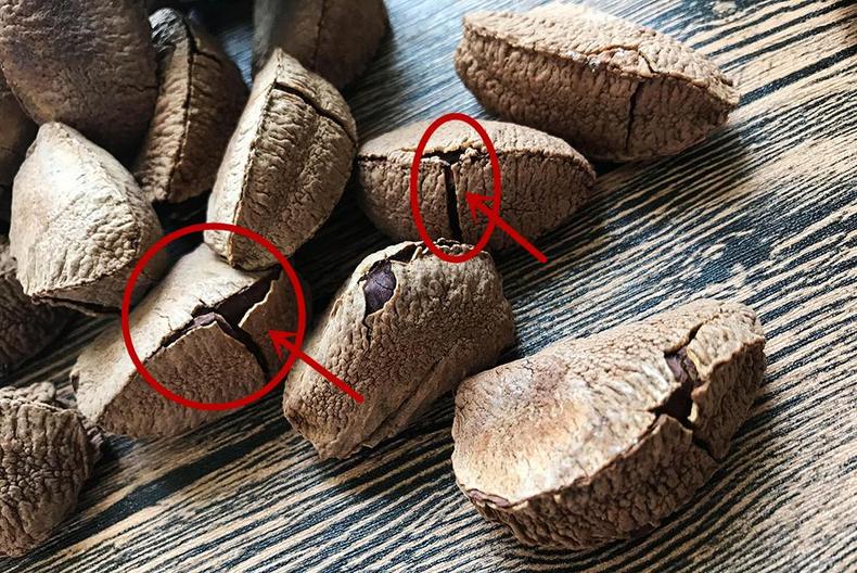 “坚果之王”鲍鱼果,松脆香酥(图9) “坚果之王”鲍鱼果,松脆香酥(图9)