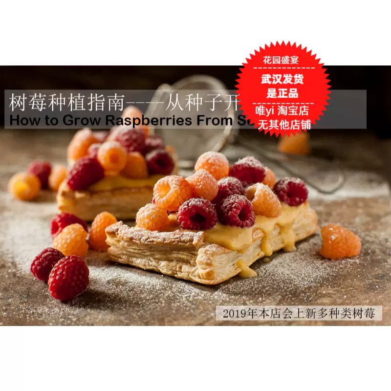 树莓种植指南 从种子开始 Taobao