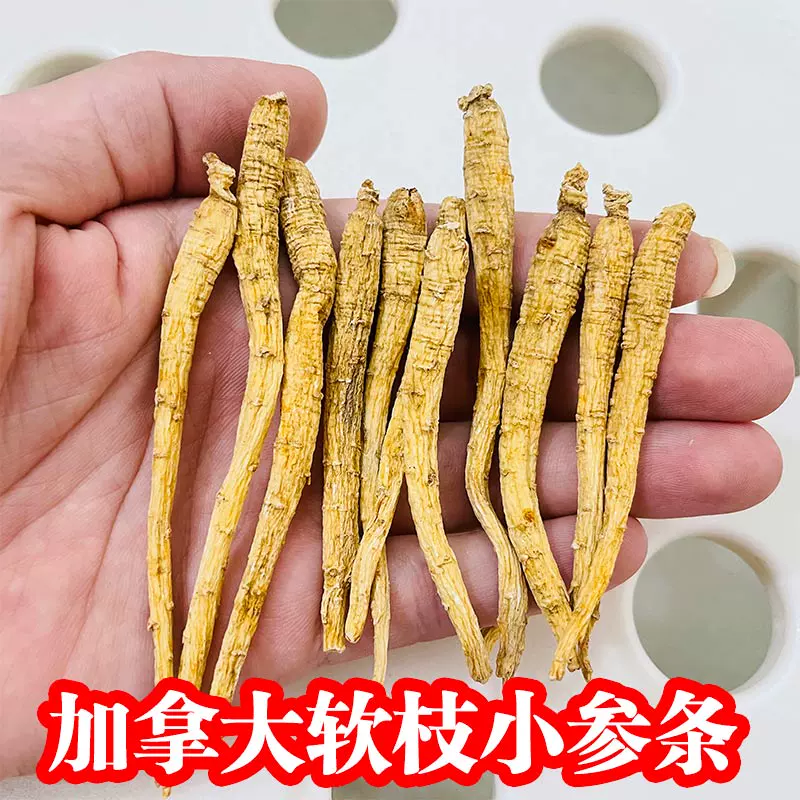 500g一斤装进口西洋参须软枝参段整根正宗加拿大花旗