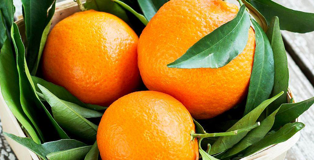 吃点低脂水果解馋吧 - 美优享 - 美丽优品分享好站,优品情报站