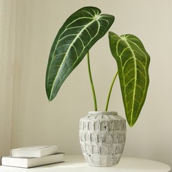 Artificial Plants with Realistic Texture, Large Branches and Leaves, Including Anthurium, Philodendron, and Alocasia, for Indoor Decoration and Wall Greenery