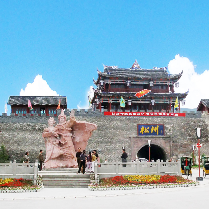 九寨沟或九黄松潘高铁站至黄龙景区直通车(商务5-9座)