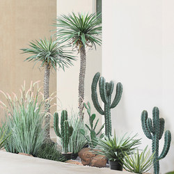 Simulated Measuring Stick Cactus Green Plant Cactus Potted Plant Tropical Succulent Plant for Landscape Display in Exhibition Halls, Guesthouses, and Cafes