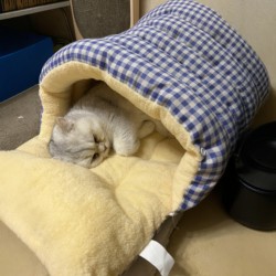 Cat Nest for All Seasons, Enclosed Cat Nest, Safe Nest, Pet Bed, Sleeping Nest, Tent, Dog Nest, Thickened and Warm in Winter