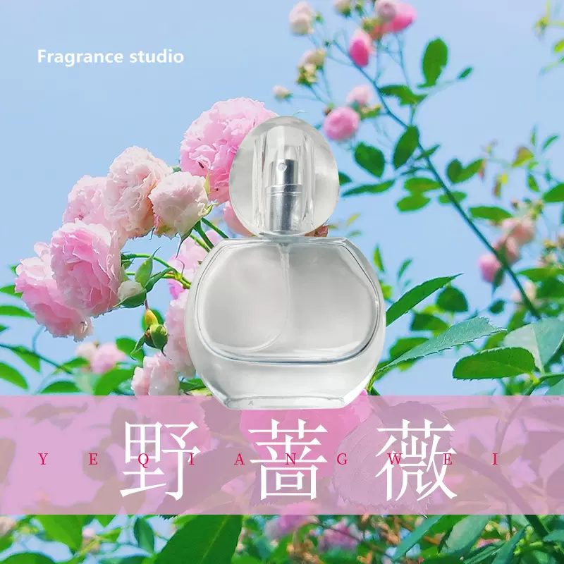 偶遇野蔷薇香水女士淡香清新花香调傲冷气息持久自然淡