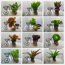 Artificial Cauliflower, Cabbage, Bok Choy, Celery, Spinach, Lettuce, Lettuce Leaves, Fake Vegetable Model, Fruit and Vegetable Restaurant Decorations