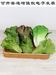 Simulated Lettuce Model Fake Vegetables Pvc Washable Lettuce Leaves Fruit and Vegetable Restaurant Decorations Display Props