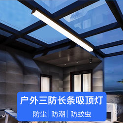 Special Ceiling Light for Sunrooms, Outdoor Balcony Entrance Light, Rainproof Corridor Ceiling Light, Long Strip Terrace Eaves Sun Shed