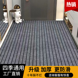 Entrance Mats, Household Kitchen Floor Mats, Non-Slip Mats, Corridor, Stairs, Shopping Malls, Large-Area Commercial Full-Cover Carpets