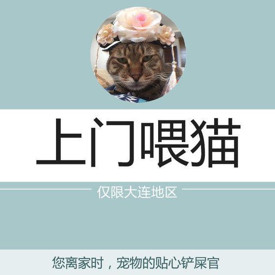 Dalian area feeding cat walking dog walking and feeding pet custody has a fifteen -year -old shop for physical stores
