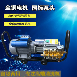 Black Cat Dingli Ql-280 Self-Priming High-Pressure Washer Car Wash Machine 220V Car Washing Pump Sprayer All-Copper