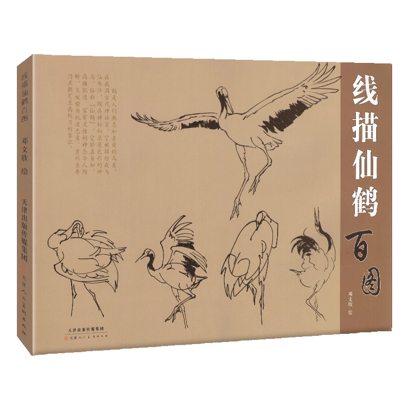 8开横幅正版】线描仙鹤百图邓文欣绘艺术绘画国画花鸟画硬笔速写