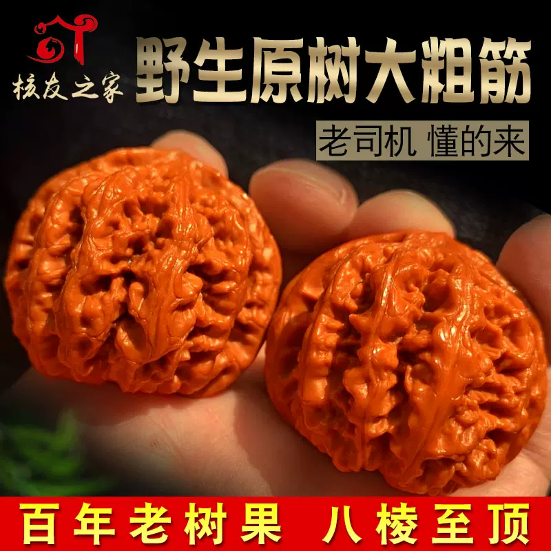 文玩核桃狮子头大尺收藏毕业精品野生大粗筋古玩把玩手盘麻核桃-Taobao 