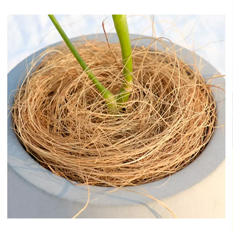 进口椰棕丝铺面 高纯椰丝铺面 花盆装饰覆盖草盆栽植物花卉营养土