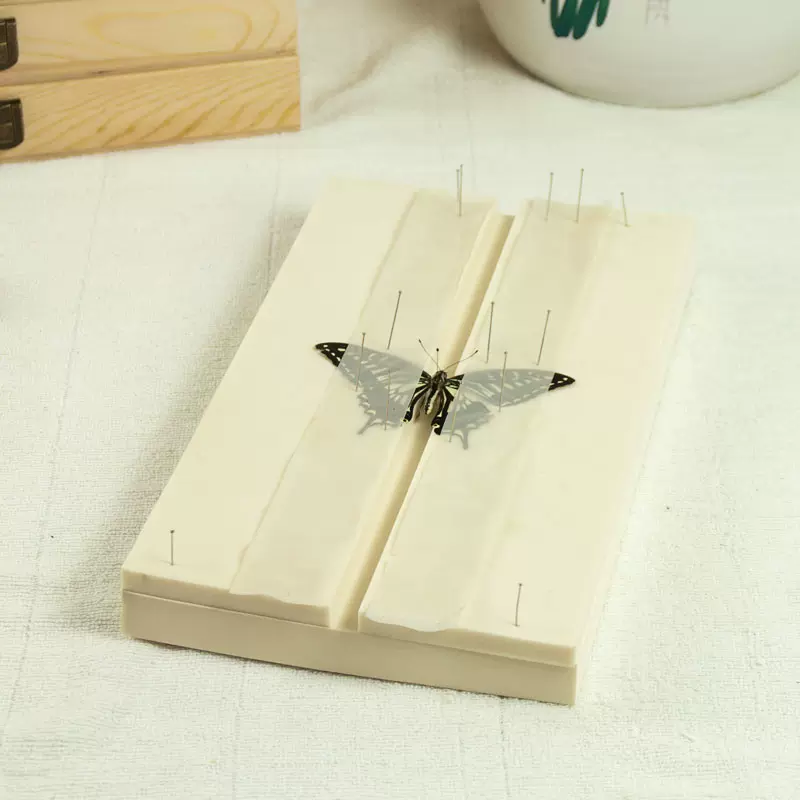 間距可調節昆蟲展翅板蝴蝶標本展翅板標本製作工具EVA可開票-Taobao