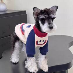 Dog Clothes for Autumn and Winter, Small Dog Pet Warm Sweatshirt, Trendy Brand, Teddy, Bichon, Schnauzer, Puppy, Kitten Clothes