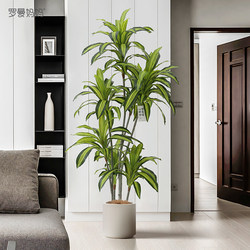High-End Light Luxury Artificial Green Plant Brazilian Wood Potted Plant, Simulated Floor-Standing Bonsai, Fake Green Plant Decoration, Simulated Indoor Ornament